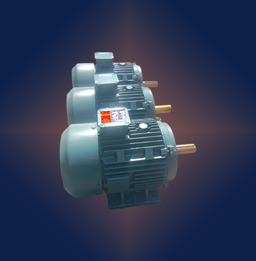Squirrel Cage Induction Motor(0.37kw to 15kw)